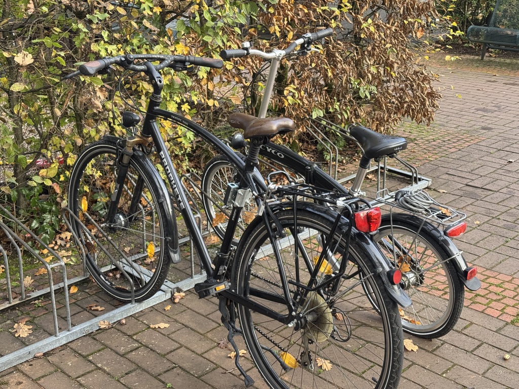 3A471172-137E-44BC-92B6-737253595F39_1_105_c